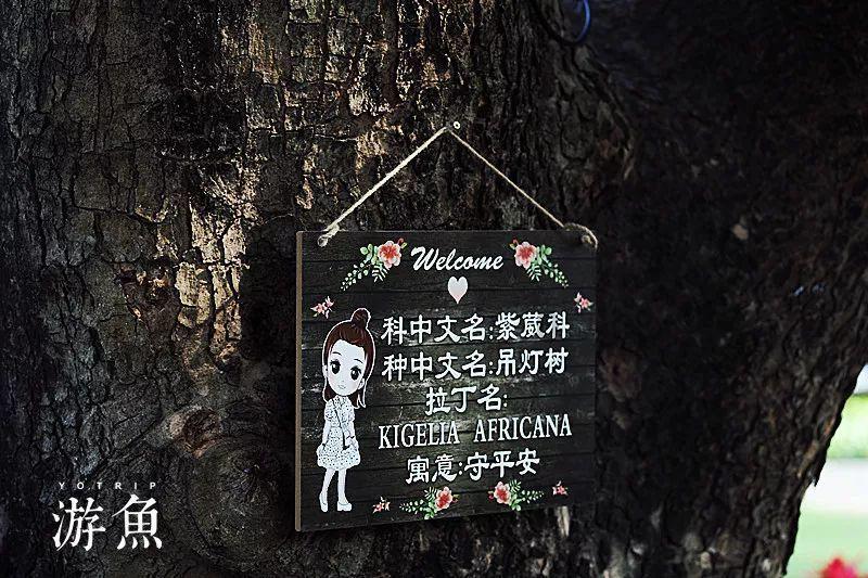 无可救药